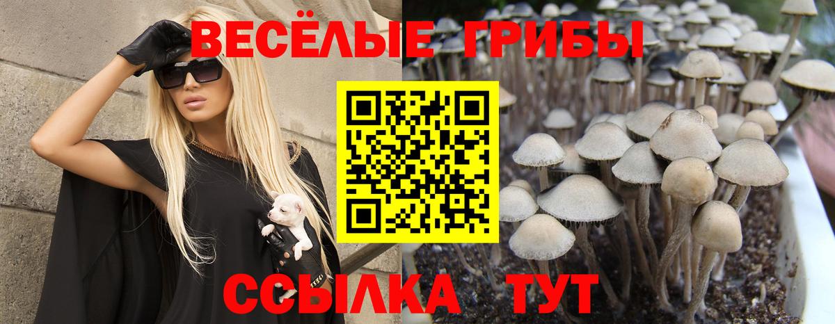 Галлюциногенные грибы мухоморы  Вход с VPN  Казань 