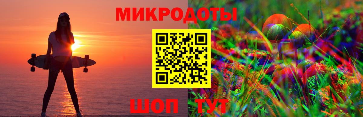 Псилоцибиновые грибы мицелий Казань